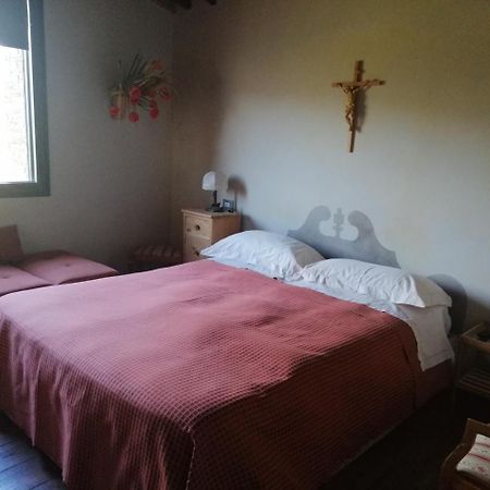 Casetta Dell'Uliveto Macchiascandona 外观 照片