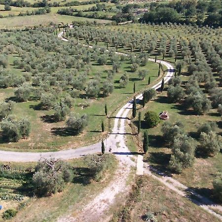 Casetta Dell'Uliveto Macchiascandona 外观 照片