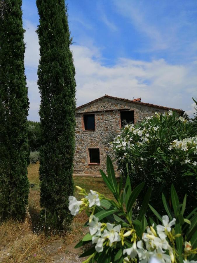 Casetta Dell'Uliveto Macchiascandona 外观 照片