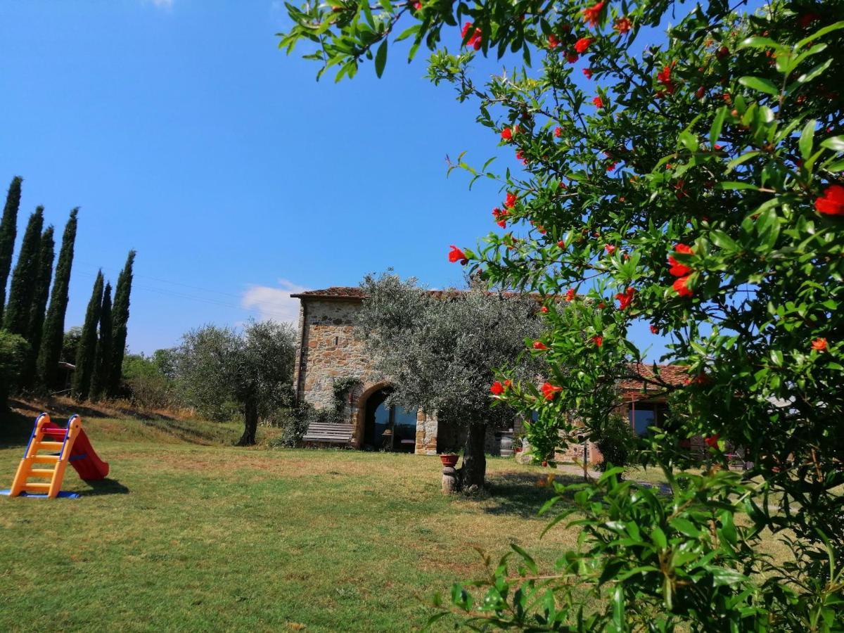 Casetta Dell'Uliveto Macchiascandona 外观 照片