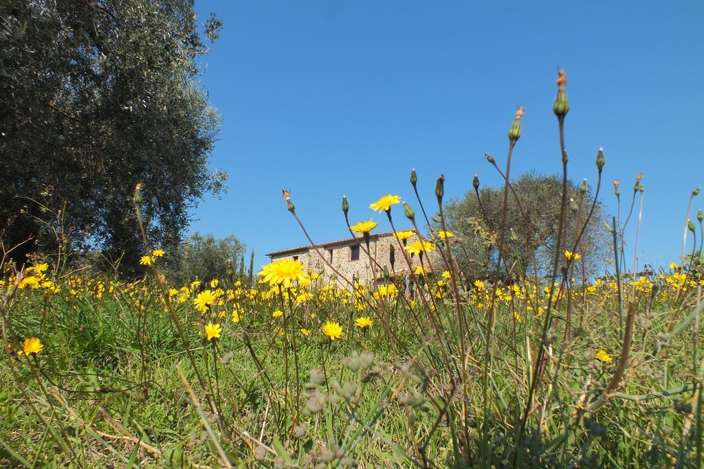 Casetta Dell'Uliveto Macchiascandona 外观 照片