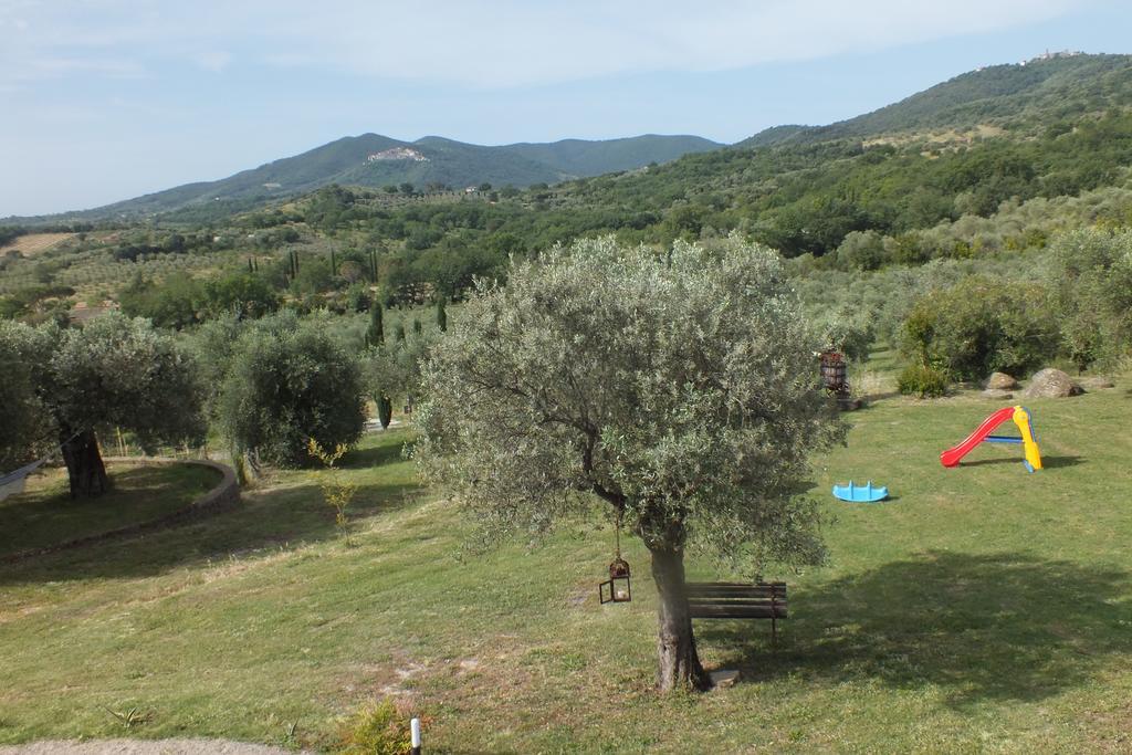 Casetta Dell'Uliveto Macchiascandona 外观 照片