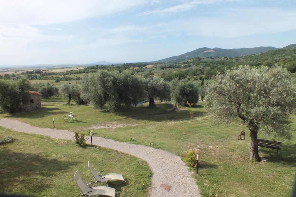 Casetta Dell'Uliveto Macchiascandona 外观 照片