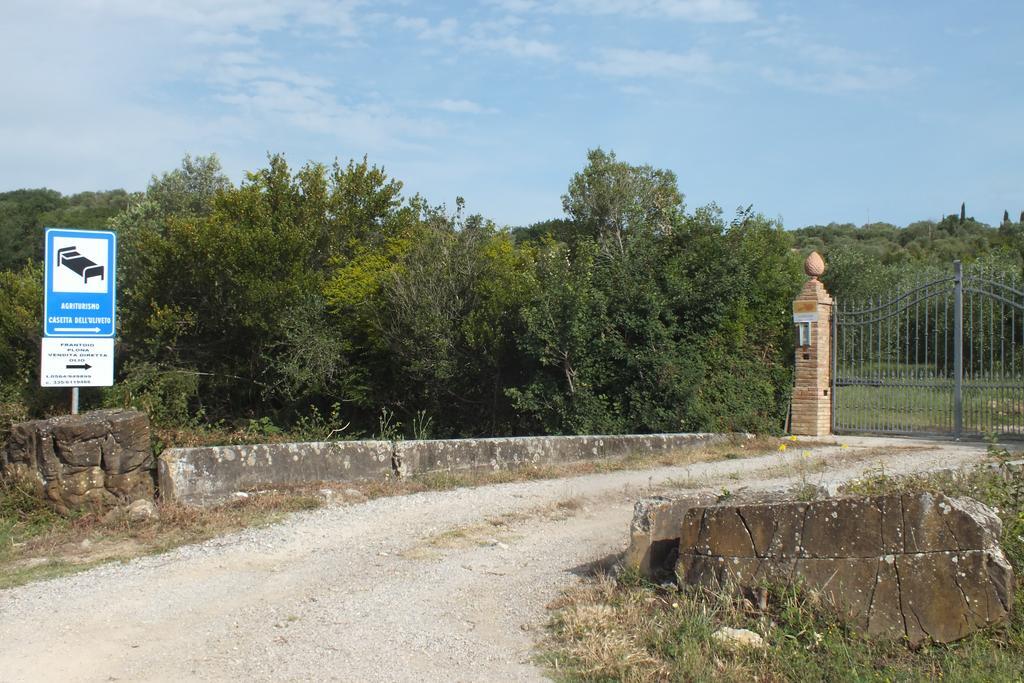 Casetta Dell'Uliveto Macchiascandona 外观 照片