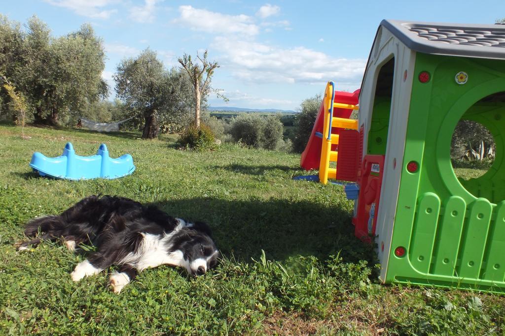 Casetta Dell'Uliveto Macchiascandona 外观 照片
