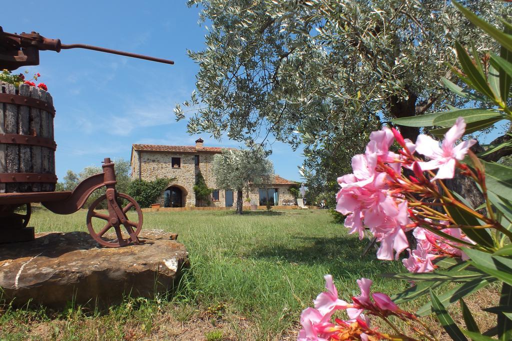 Casetta Dell'Uliveto Macchiascandona 外观 照片